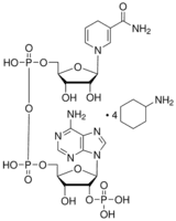 β-Nicotinamide adenine dinucleotide phosphate, reduced tetra(cyclohexylammonium) salt