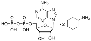 Adenosine 5′-diphosphate bis(cyclohexylammonium) salt