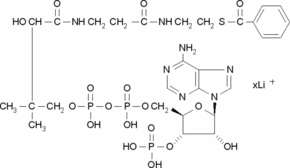 Benzoyl coenzyme A lithium salt