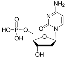 2′-Deoxycytidine 5′-monophosphate