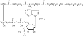 Linoleoyl coenzyme A lithium salt