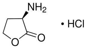 (R)-(+)-α-Amino-γ-butyrolactone hydrochloride