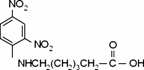 DNP-ε-amino-n-caproic acid