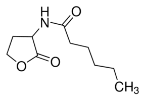 N-Hexanoyl-DL-homoserine lactone