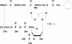 Phenylacetyl coenzyme A lithium salt