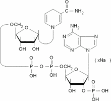 α-Nicotinamide adenine dinucleotide phosphate, reduced sodium salt