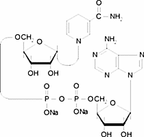 α-Nicotinamide adenine dinucleotide, reduced disodium salt