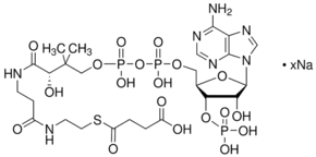 Succinyl coenzyme A sodium salt