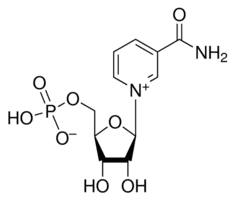 β-Nicotinamide mononucleotide