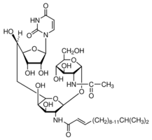Tunicamycin from Streptomyces sp.