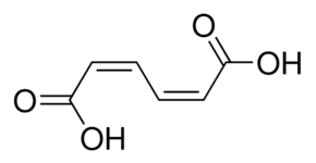 cis,cis-Muconic acid