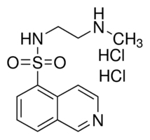 H-8 dihydrochloride