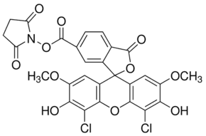 6-Carboxy-4′,5′-dichloro-2′,7′-dimethoxyfluorescein N-hydroxysuccinimide ester