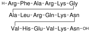 Protein Kinase C Fragment 19-36