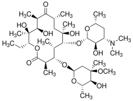 Erythromycin