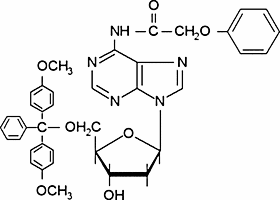 N6-Phenoxyacetyl-5′-O-(4,4′-dimethoxytrityl)-2′-deoxyadenosine