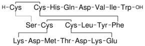 Sarafotoxin S6b Atractaspis engaddensis sequence