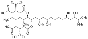 Fumonisin B1 from Fusarium moniliforme