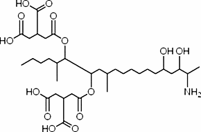 Fumonisin B2 from Fusarium moniliforme
