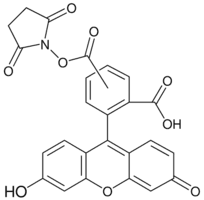5(6)-Carboxyfluorescein N-hydroxysuccinimide ester