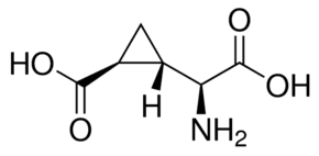 (2S,1′S,2′S)-2-(Carboxycyclopropyl)glycine