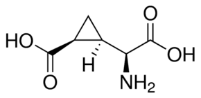 (2S,3R,4S)-α-(Carboxycyclopropyl)glycine