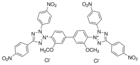 Tetranitroblue tetrazolium chloride