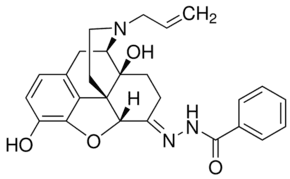 Naloxone benzoylhydrazone