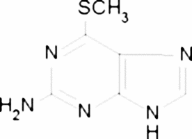 2-Amino-6-methylmercaptopurine