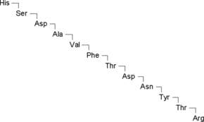 Vasoactive Intestinal Peptide Fragment 1-12 human, porcine, rat