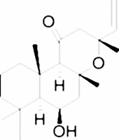 6β-Hydroxy-8,13-epoxy-labd-14-en-11-one from Coleus forskohlii