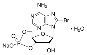 8-Bromoadenosine 3′,5′-cyclic monophosphate sodium salt monohydrate