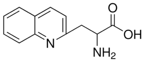 3-(2-Quinolyl)-DL-alanine