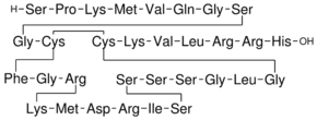 Brain Natriuretic Peptide-32 human