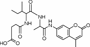 N-Succinyl-Ile-Ala-7-amido-4-methylcoumarin