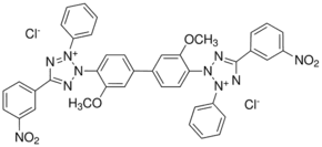 3-Nitrotetrazolium blue chloride