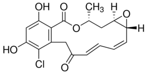 Radicicol from Diheterospora chlamydosporia