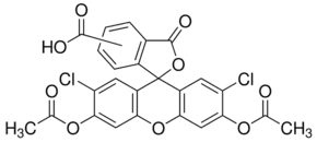 5(6)-Carboxy-2′,7′-dichlorofluorescein diacetate