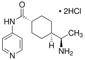 Y-27632 dihydrochloride