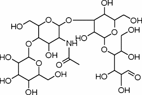 Lacto-N-neo-tetraose