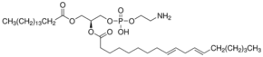 2-Linoleoyl-1-palmitoyl-sn-glycero-3-phosphoethanolamine