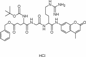 Boc-γ-benzyl-Glu-Gly-Arg-7-amido-4-methylcoumarin hydrochloride