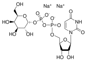 Uridine 5′-diphosphogalactose disodium salt