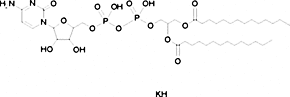 1,2-Dimyristoyl-sn-glycerol-3-(5′-diphosphocytidine) potassium salt