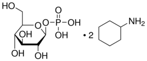 β-D-Glucose 1-phosphate bis(cyclohexylammonium) salt