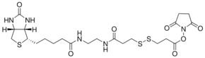 Biotin disulfide N-hydroxysuccinimide ester