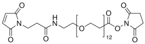 Maleimide-PEG12-succinimidyl ester