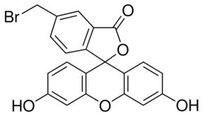 5-(Bromomethyl)fluorescein