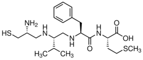 B581