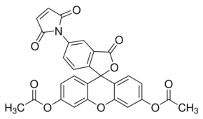 Fluorescein diacetate 5-maleimide